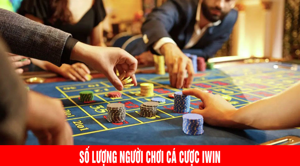 số lượng người chơi cá cược iwin